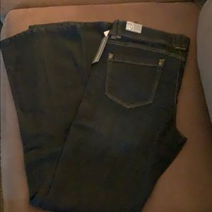 New! Wit and Wisdom Absolution jeans